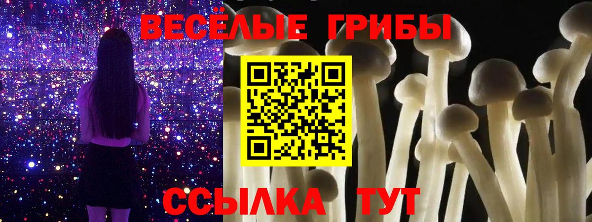 Псилоцибиновые грибы MAGIC MUSHROOMS  Вход с VPN  сколько стоит  Ростов Великий 
