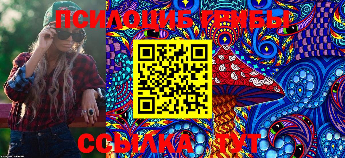 Псилоцибиновые грибы мицелий Ростов Великий